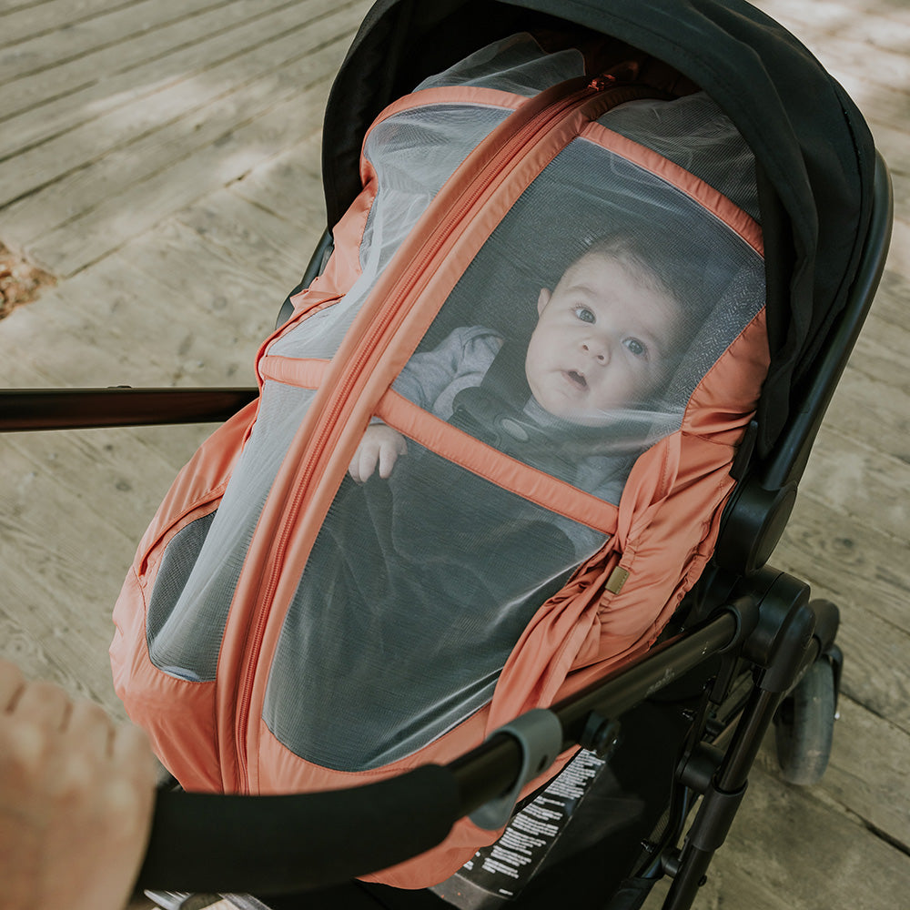 #color_papaya#couleur_papaye