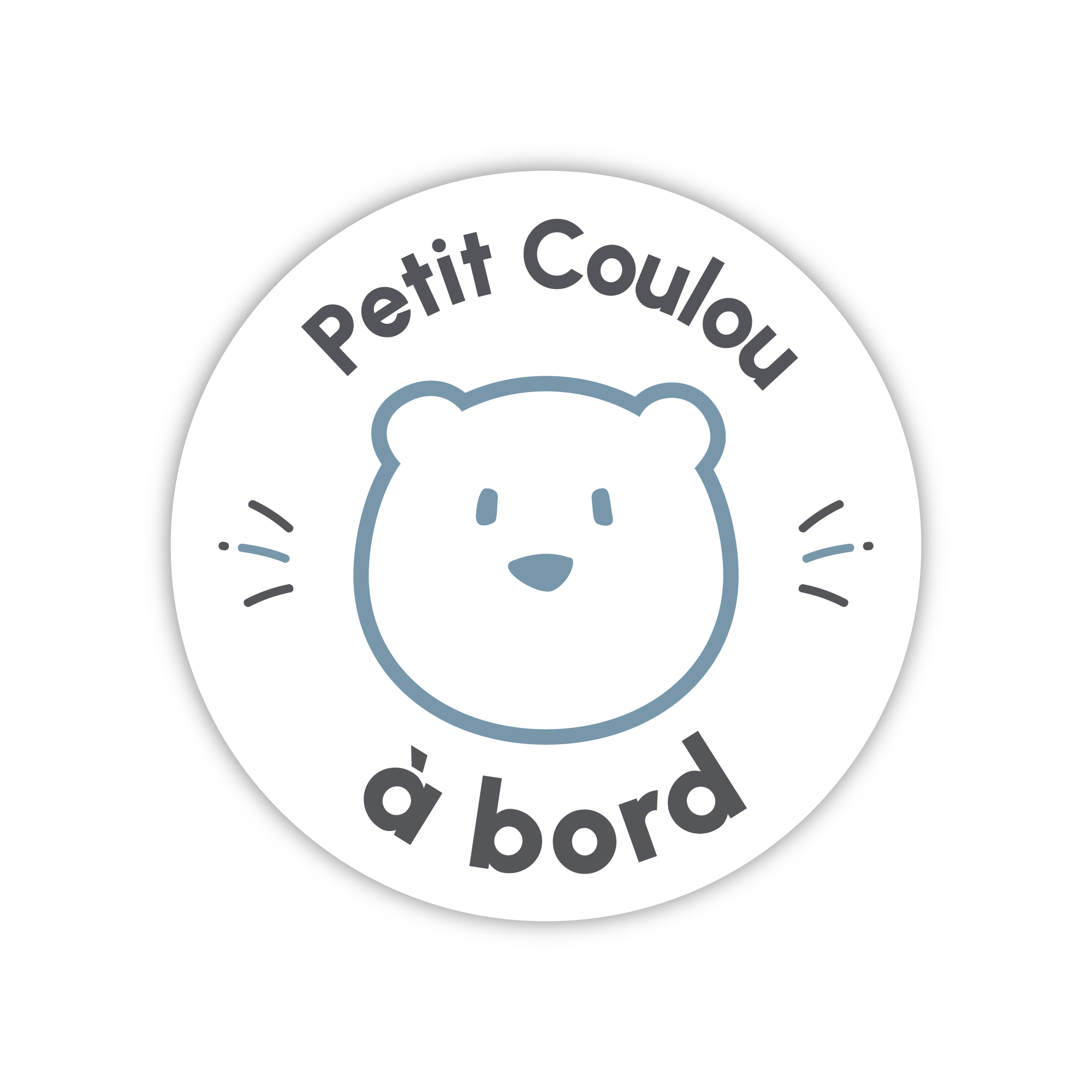 Électrostatique « Petit Coulou à bord »