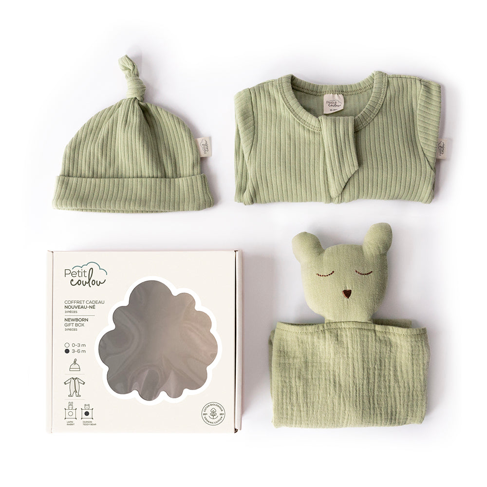 #Color_Green - Bear#Couleur_Vert - Ourson